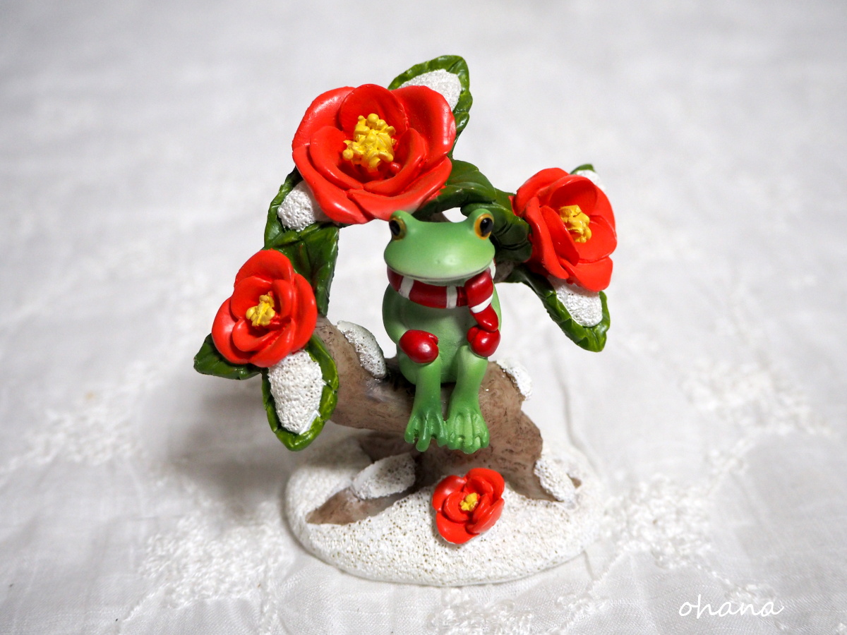 雪椿の盆栽とカエル