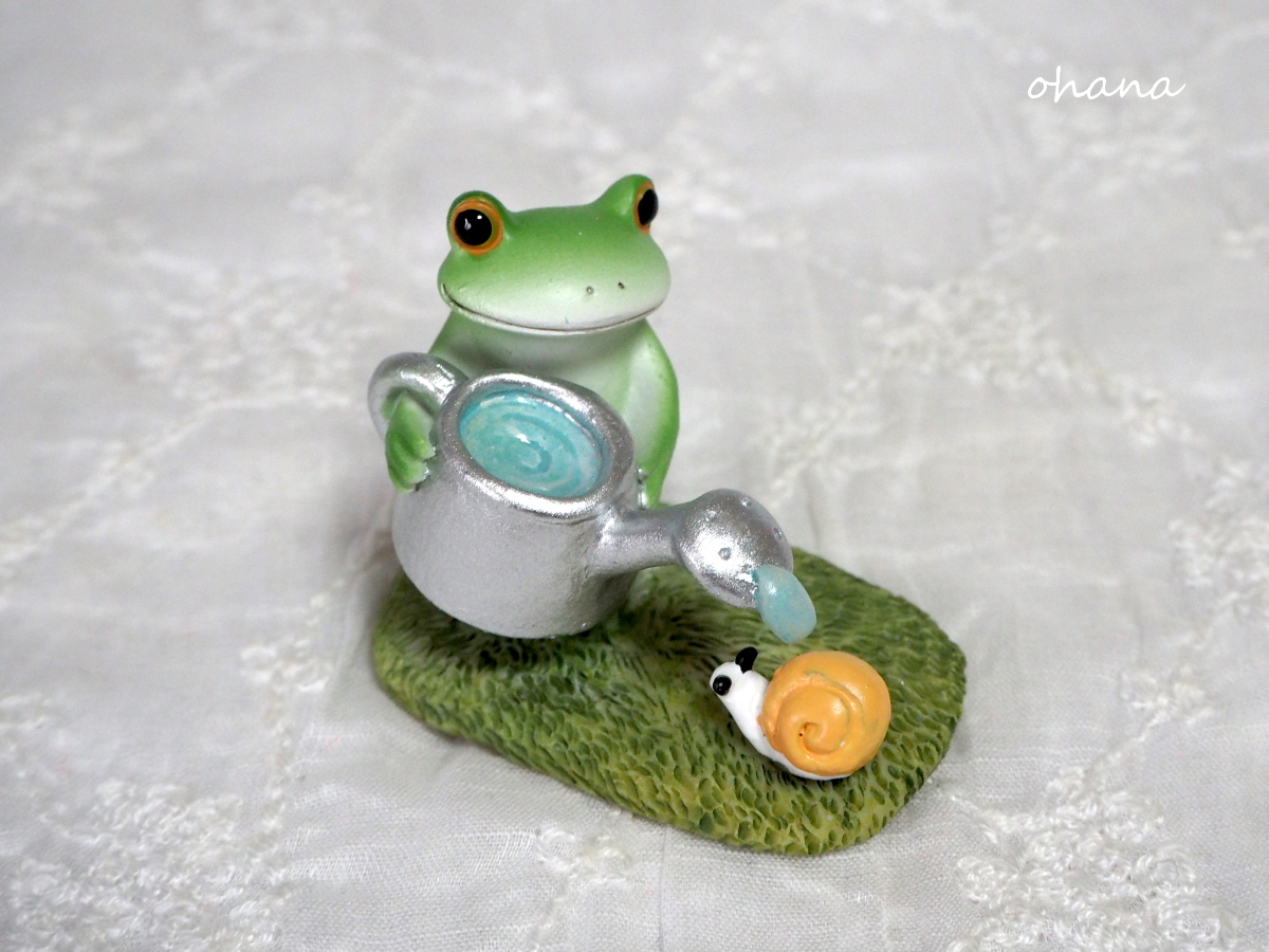 Copeau カタツムリにお水あげる