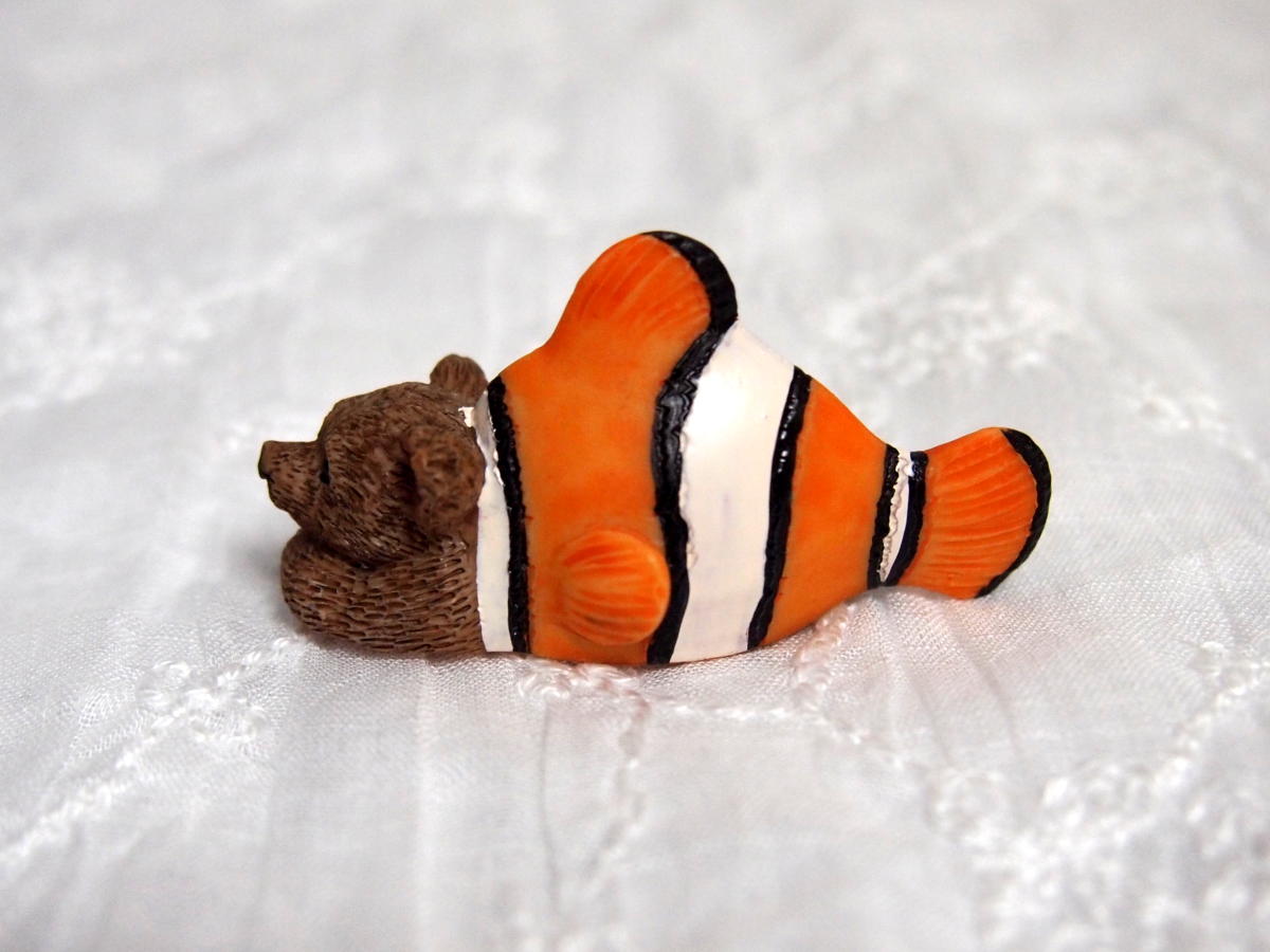 クマノミ