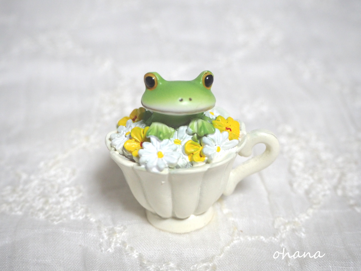 カモミールティーなカエル
