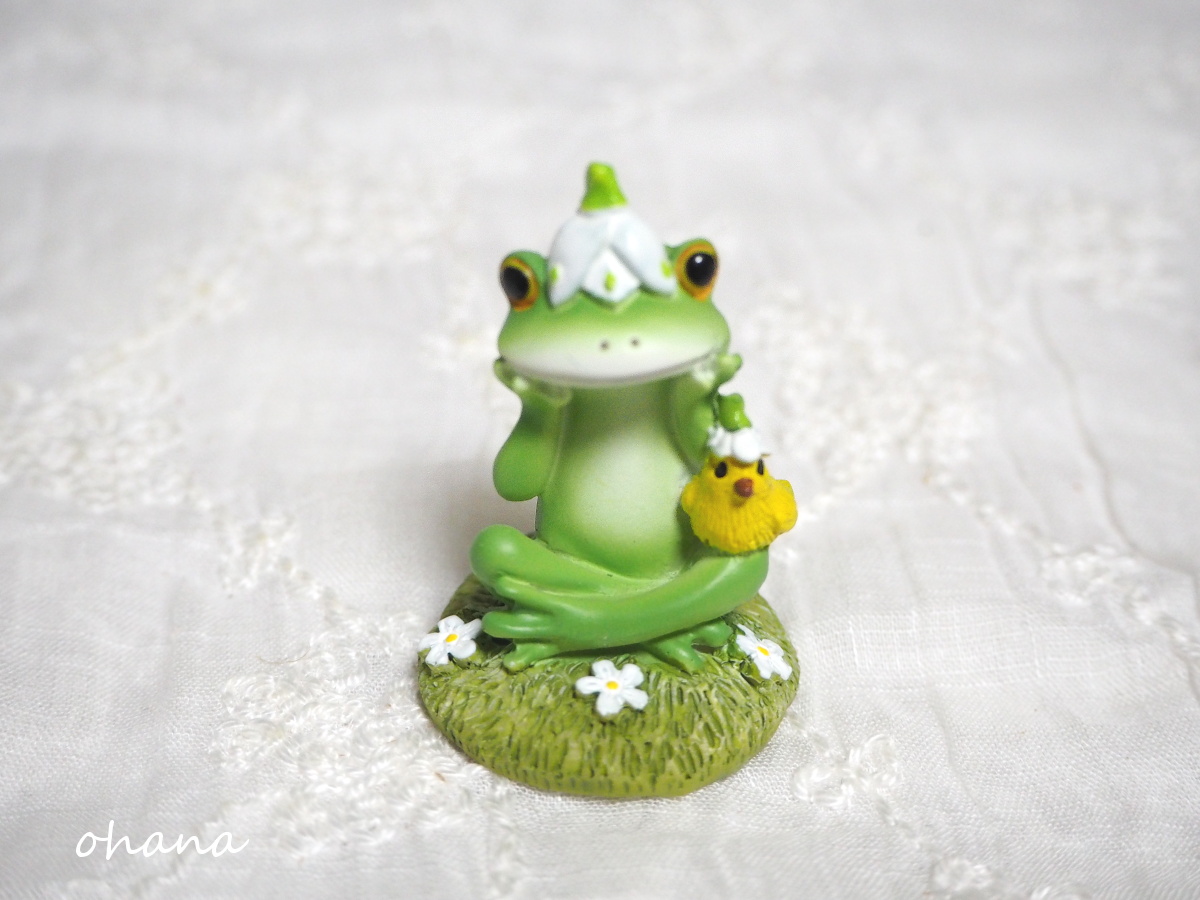 スノーフレークハットのカエル