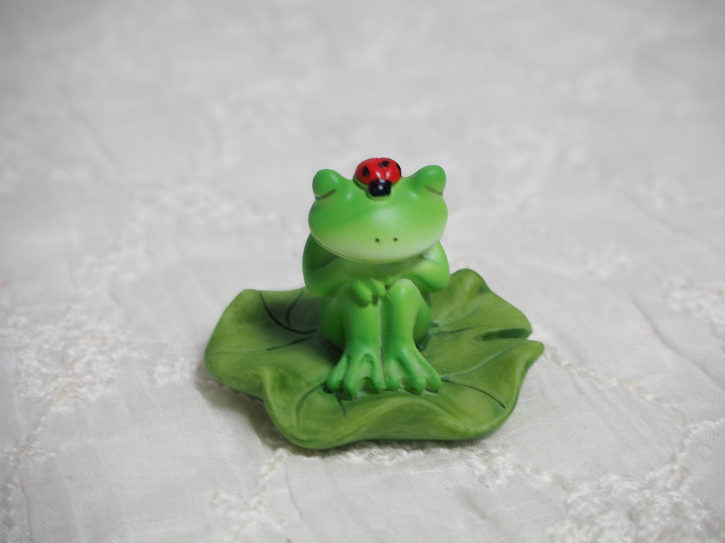 蓮の葉にちょこん