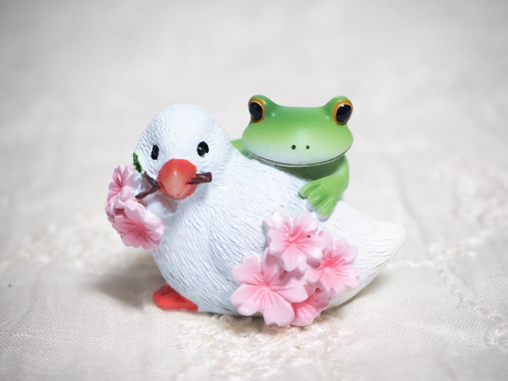 桜文鳥とカエル