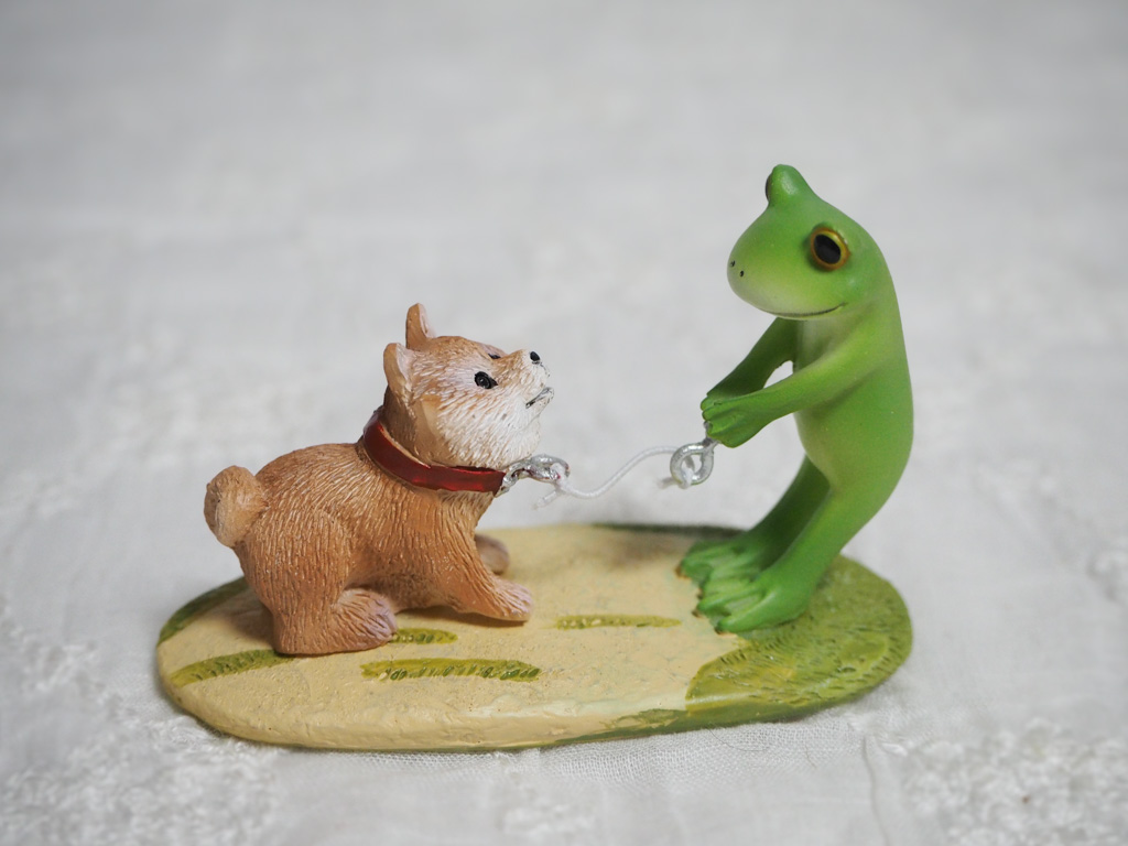 帰らない柴犬とカエル
