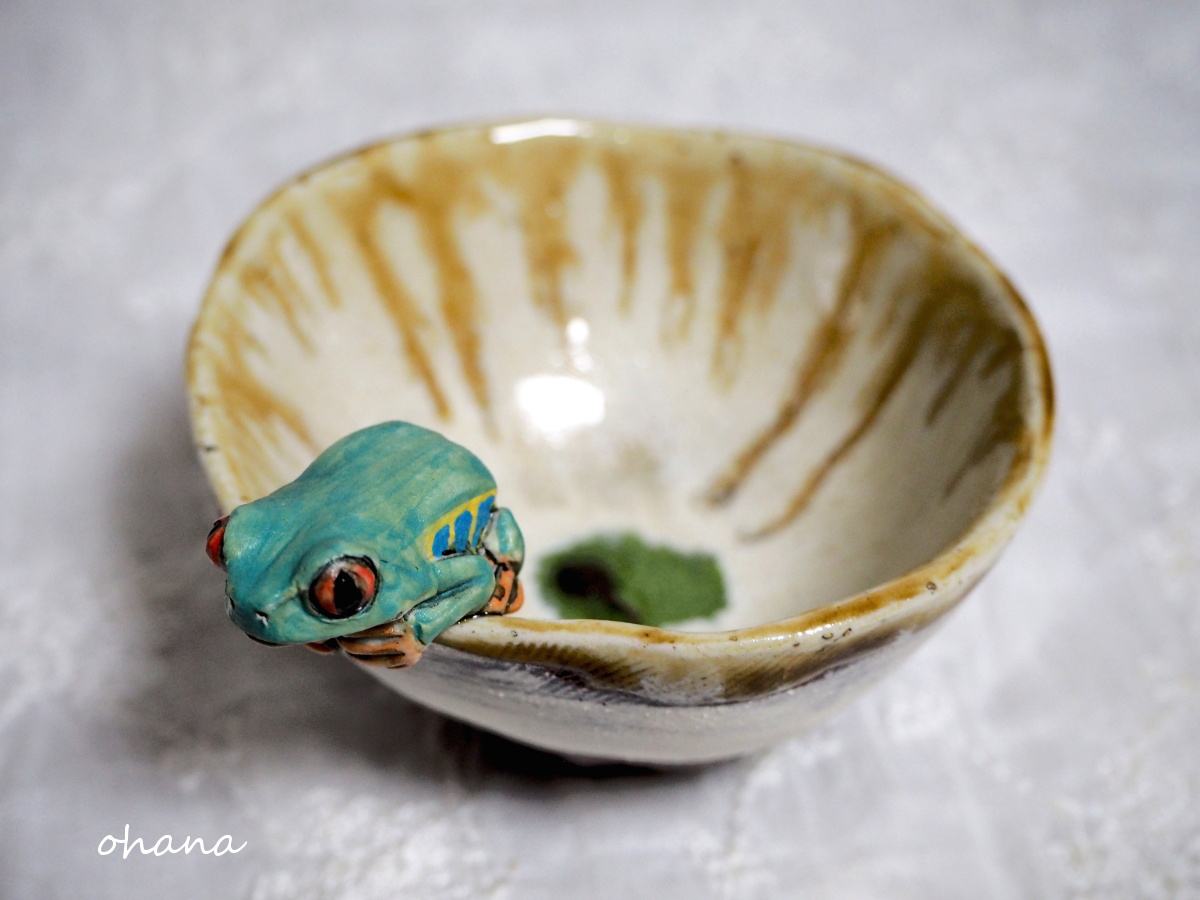 アカメアマガエルの盃