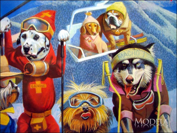 犬たちのスキー